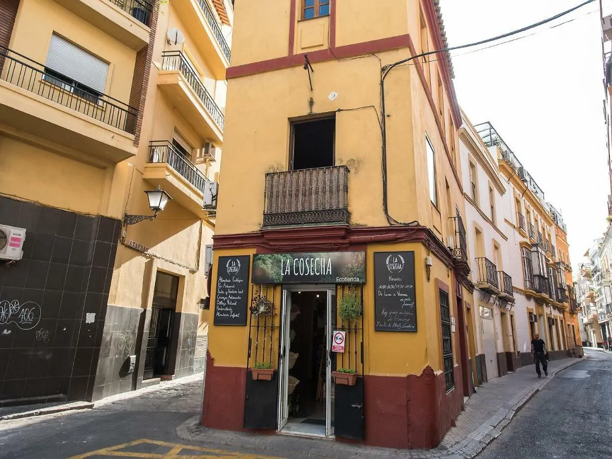 Divi Apartaments Centro Sevilla 0*, Seville